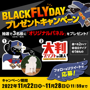 BLACKFLYDAY1-1.jpg