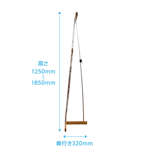 側面イメージ画像