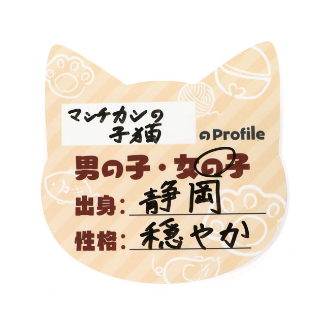 ホワイトボードパネル、フリップ